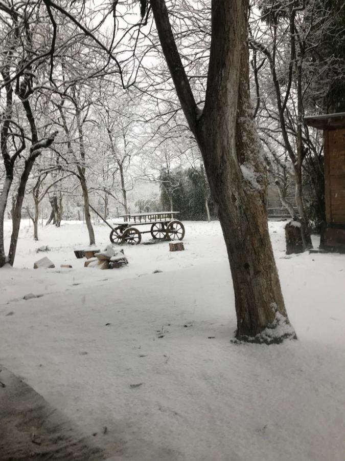 Бунгало Kheivani Extérieur photo