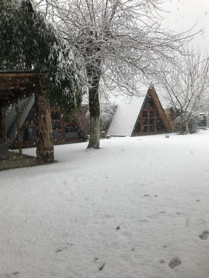 Бунгало Kheivani Extérieur photo